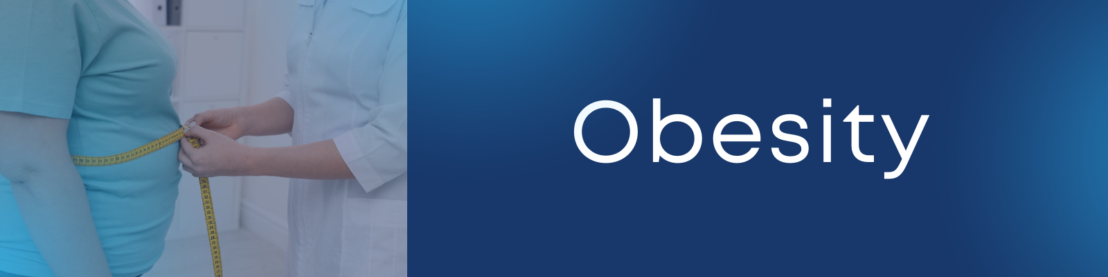 Obesity banner image